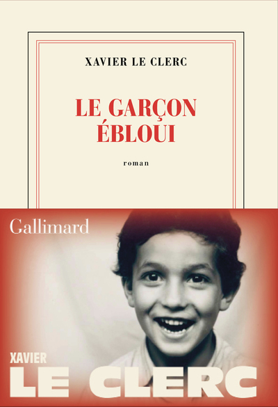 Image de Le garçon ébloui