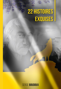 Picture of 22 HISTOIRES EXQUISES