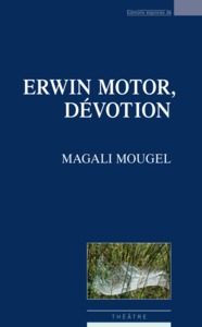 Picture of Erwin motor