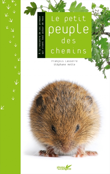 Image de Le petit peuple des chemins