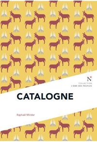 Image de Catalogne - urnes et déchirures