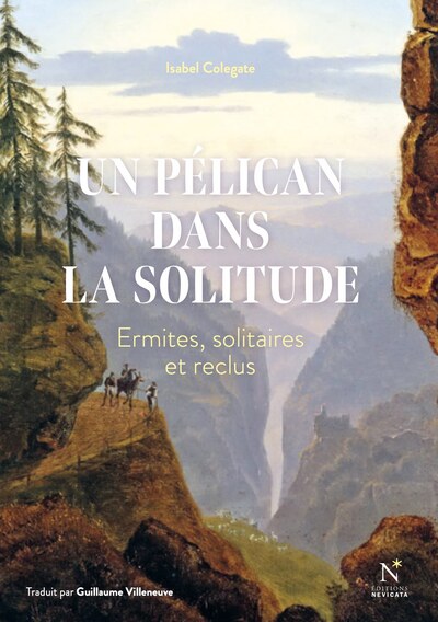 Picture of UN PELICAN DANS LA SOLITUDE