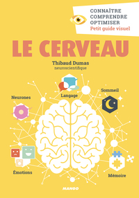 Picture of Le cerveau