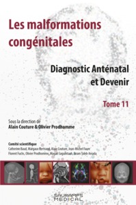 Picture of LES MALFORMATIONS CONGENITALES T.11-DIAGNOSTIC ANTENATAL ET DEVENIR