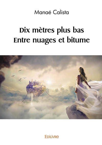 Picture of Dix mètres plus bas  - Entre nuages et bitume