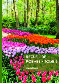 Image de Recueil de poèmes - Tome 8