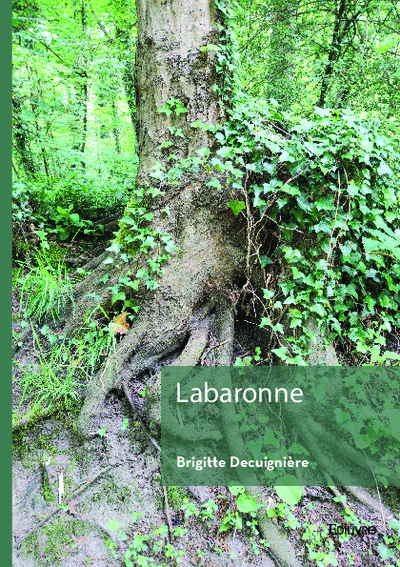 Image de Labaronne