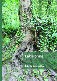 Image de Labaronne