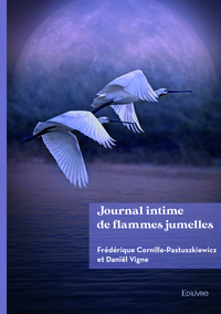 Image de Journal intime de flammes jumelles