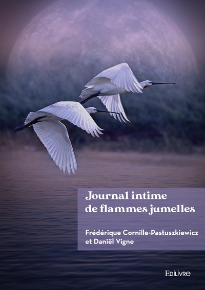 Picture of Journal intime de flammes jumelles