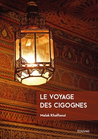 Picture of Le voyage des cigognes