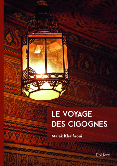 Image de Le voyage des cigognes