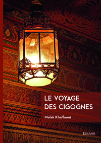 Image de Le voyage des cigognes