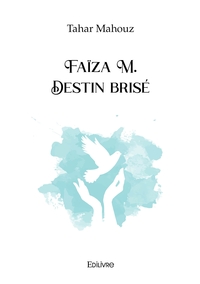 Picture of Faïza M. Destin brisé