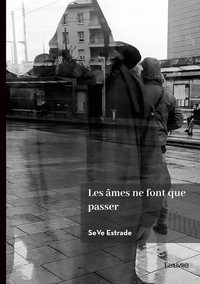 Image de Les âmes ne font que passer