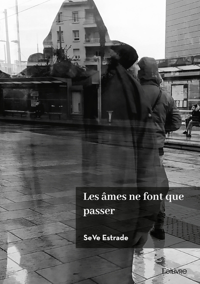 Picture of Les âmes ne font que passer