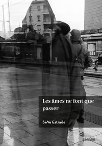 Picture of Les âmes ne font que passer