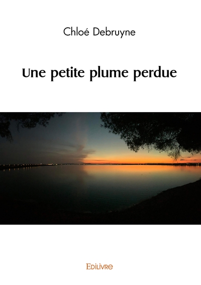 Picture of Une petite plume perdue