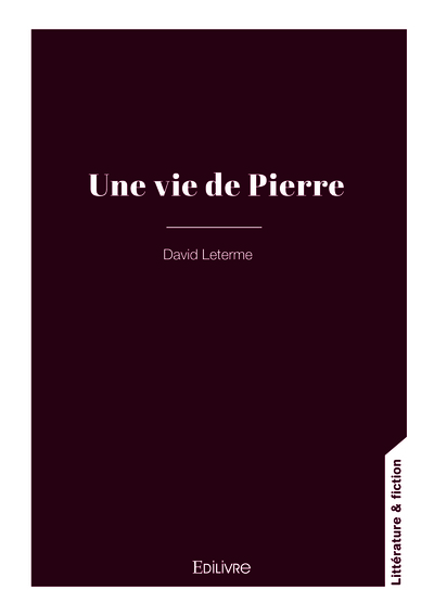 Image de Une vie de Pierre