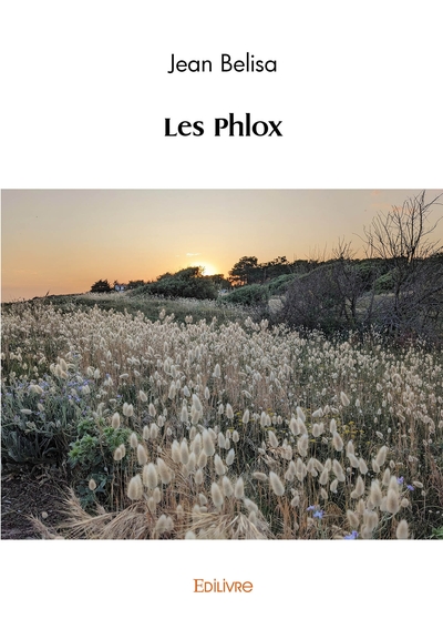 Picture of Les Phlox