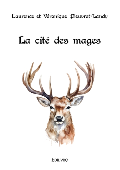 Picture of La cité des mages