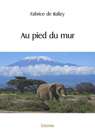 Picture of Au pied du mur