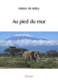 Picture of Au pied du mur