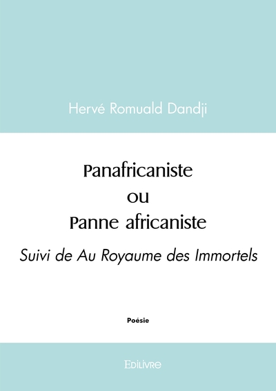 Picture of Panafricaniste ou Panne africaniste