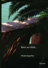 Picture of Bien au-delà...
