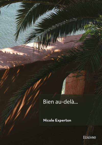 Picture of Bien au-delà...