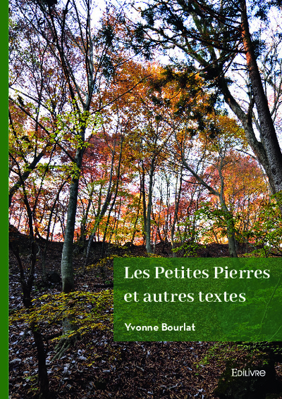 Image de Les petites pierres et autres textes