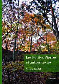 Image de Les petites pierres et autres textes