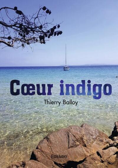 Image de Cœur indigo