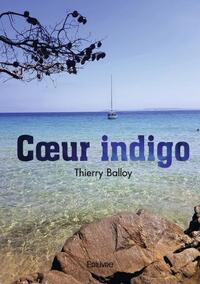 Image de Cœur indigo