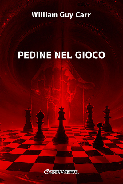 Picture of Pedine nel gioco