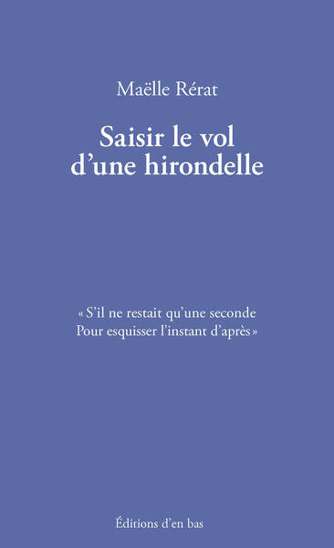 Picture of Saisir le vol d'une hirondelle