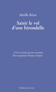 Picture of Saisir le vol d'une hirondelle