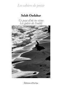 Picture of Ce pays d'où tu viens / Les galets de l’oubli