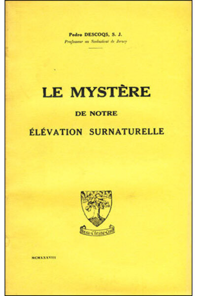 Picture of LE MYSTERE DE NOTRE ELEVATION SURNATURELLE