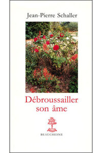 Picture of DEBROUSSAILLER SON AME