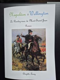 Image de Napoléon & Wellington.