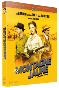 Picture of LA MONTAGNE JAUNE - BRD