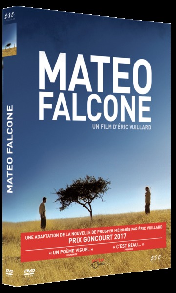 Picture of MATEO FALCONE