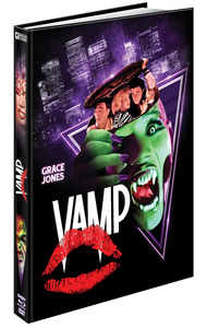 Picture of VAMP VISUEL 80 - BRD