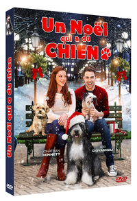 Picture of UN NOEL QUI A DU CHIEN