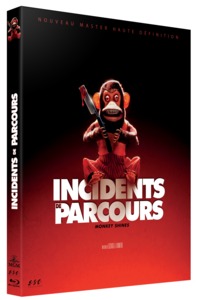 Picture of INCIDENTS DE PARCOURS - BRD SINGLE