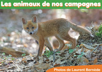 Image de Les animaux de nos campagnes