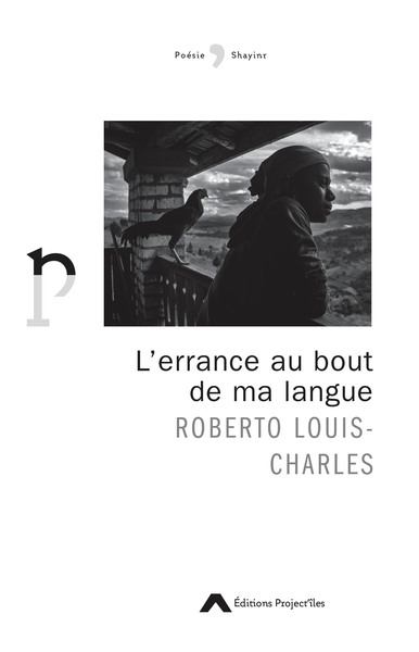 Picture of L'errance au bout de ma langue