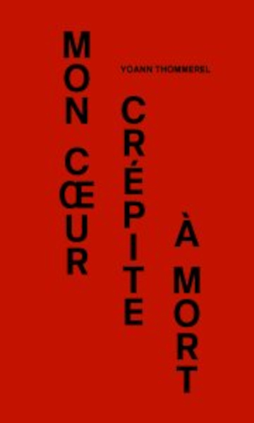 Image de Mon cœur crépite à mort