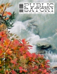 Picture of PUBLIC SATORI.